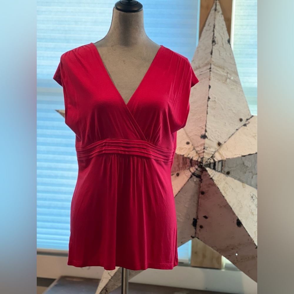 Beautiful Ann Taylor Blouse